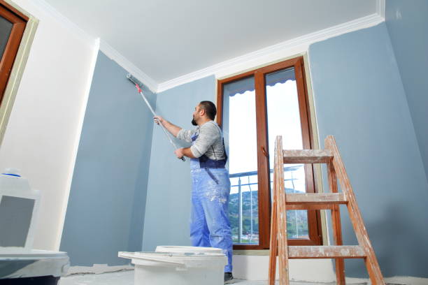 Mold Documentation for Insurance Claims in Mount Clemens, MI