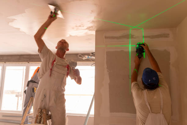 Professional Mold Removal in Mount Clemens, MI