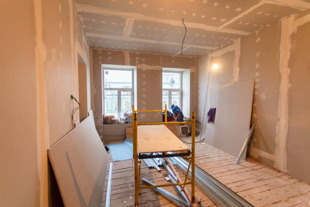 Best Post-Construction Mold Inspection  in Mount Clemens, MI