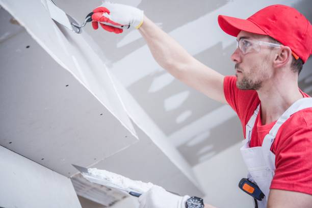 Asbestos and Lead Testing During Mold Inspection in Mount Clemens, MI