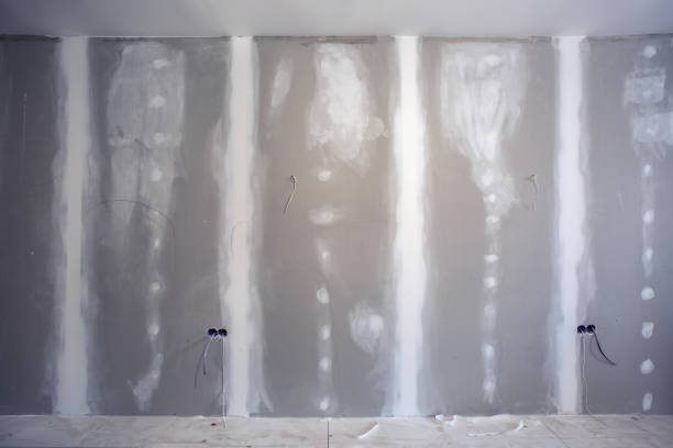 Best Water Damage & Mold Remediation  in Mount Clemens, MI